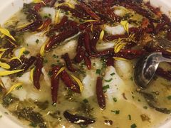 老坛酸菜鲈鱼-首秀·四川料理(星耀101店)