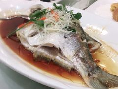 -太子园林酒家