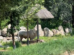 -北京野生动物园