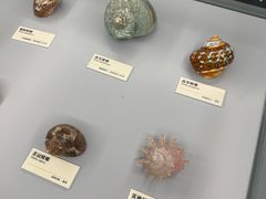 -天津古林古海岸遗迹博物馆