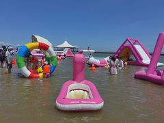 -碧海金沙