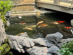 -顺德了能馆(虎门店)