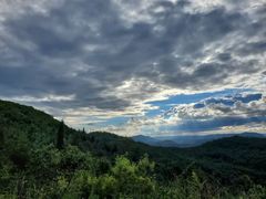 -长虫山生态公园风景林