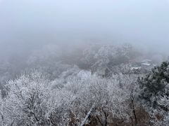 -妙峰山风景名胜区