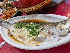 -张鸟园农家乐(张鸟园店)
