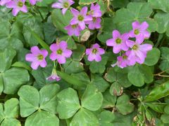 -水濂山森林公园