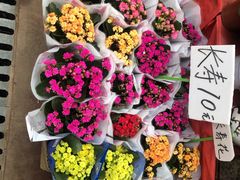 -秦美花卉(天朗·莱茵小城2期店)
