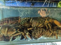 -桔子海鲜烧烤大排档(台东店)