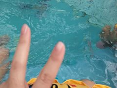 -水立方嬉水乐园