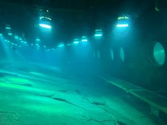 -白鹤梁水下博物馆