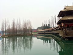 -秀丽东方