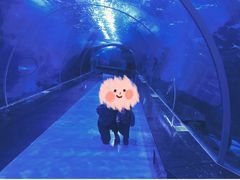 -多彩贵州城极地海洋世界