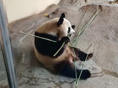-宁波野生动物园