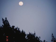 -海口喜来登酒店