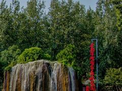 -合肥滨湖国家森林公园