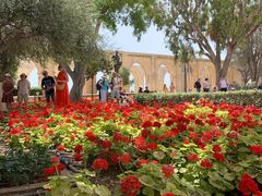 -上巴拉卡花园和下巴拉卡花园