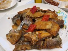-聚福山莊·寻味顺德(北滘店)