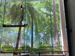 -星巴克臻选(深圳嘉里建设广场店)