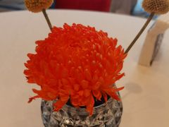 -香乐园·淮扬菜中餐厅·Shang Garden(福田香格里拉店)