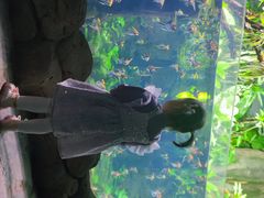 -南昌海洋公园