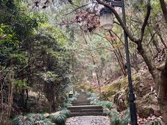 -梦姑塘文化公园