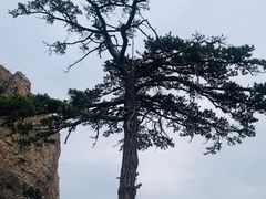 -北岳恒山