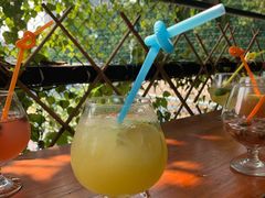 -柴犬高等学院·狗咖·柴犬售卖·宠物训练