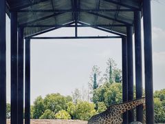 -上海野生动物园