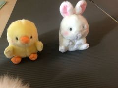 -下面馆