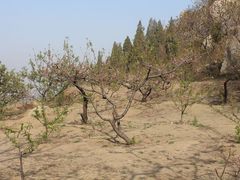 -峄山风景名胜区