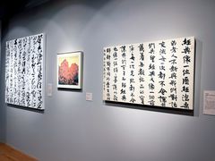 -苏州图书馆(人民路总馆)