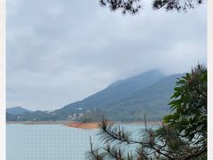 -广州市流溪河国家森林公园