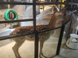 -酷嗒动物文化乐园(cutezoo西溪乐天城店)