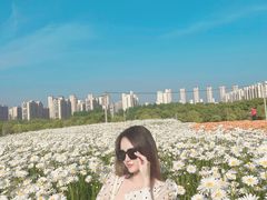 -尚贤河湿地