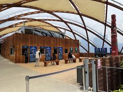 -怀托摩萤火虫洞