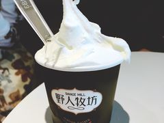 -野人牧坊Gelato(天津南开大悦城店)