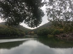 -白马涧龙池景区