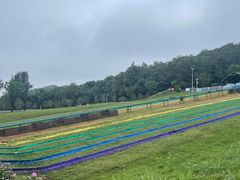 -雪浪山卡丁车俱乐部