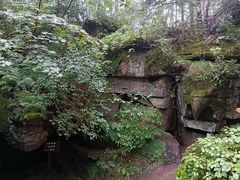 -汤旺河林海奇石景区