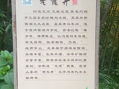 -十八棵（老龙井）御茶园(老龙井店)