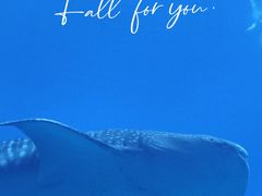-珠海长隆海洋王国