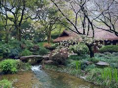-中国茶叶博物馆(双峰馆区)