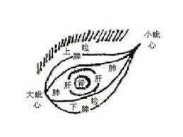 -道宾春健康管理中心