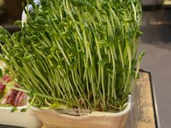 -海底捞火锅(海悦天地店)