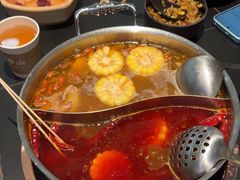 -季季山•云南野生菌火锅(上海首店)