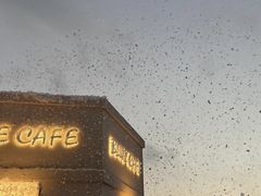 -Blue Concept Cafe&Farm·關於藍