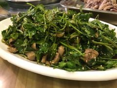 -邹记羊肉馆(阳山店)