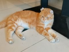 -平行世界·猫咖(首经贸店)