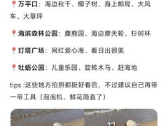 -日照灯塔风景区