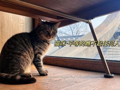 -前叁門